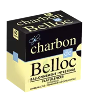 Charbon De Belloc 125 Mg Caps Molle B/60 à Forbach
